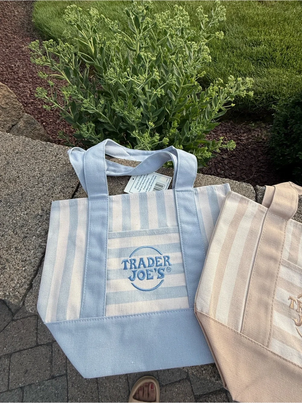 Trader Joe's Set of 4 Striped Canvas Tote Bags - Blue & Beige - Picture 4 of 5